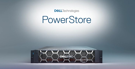 100 первоначальное ENCL ОСНОВАНИЯ DELL EMC PowerStore 9000T. FLD INST